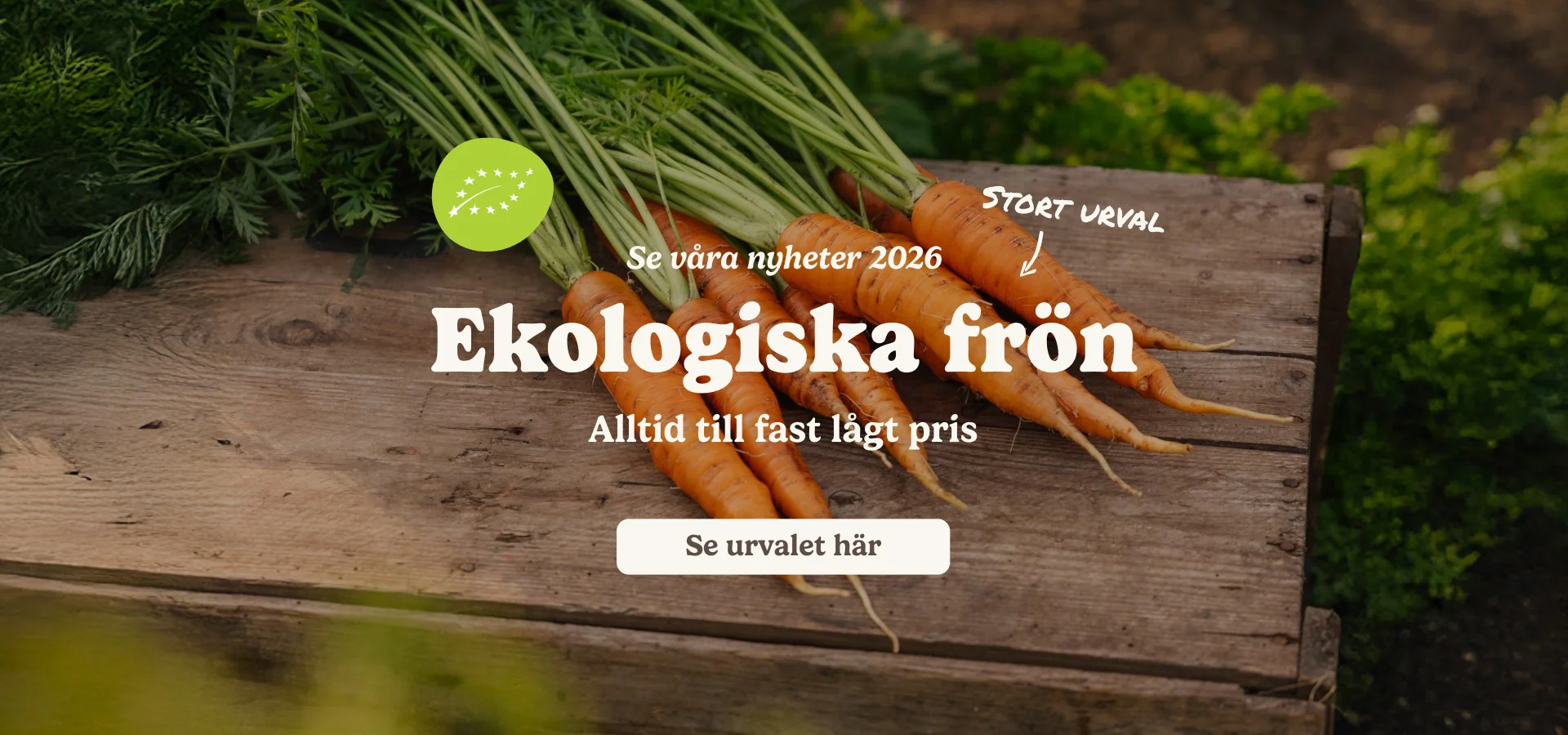 Ekologisk Växtglädje för Alla Hem