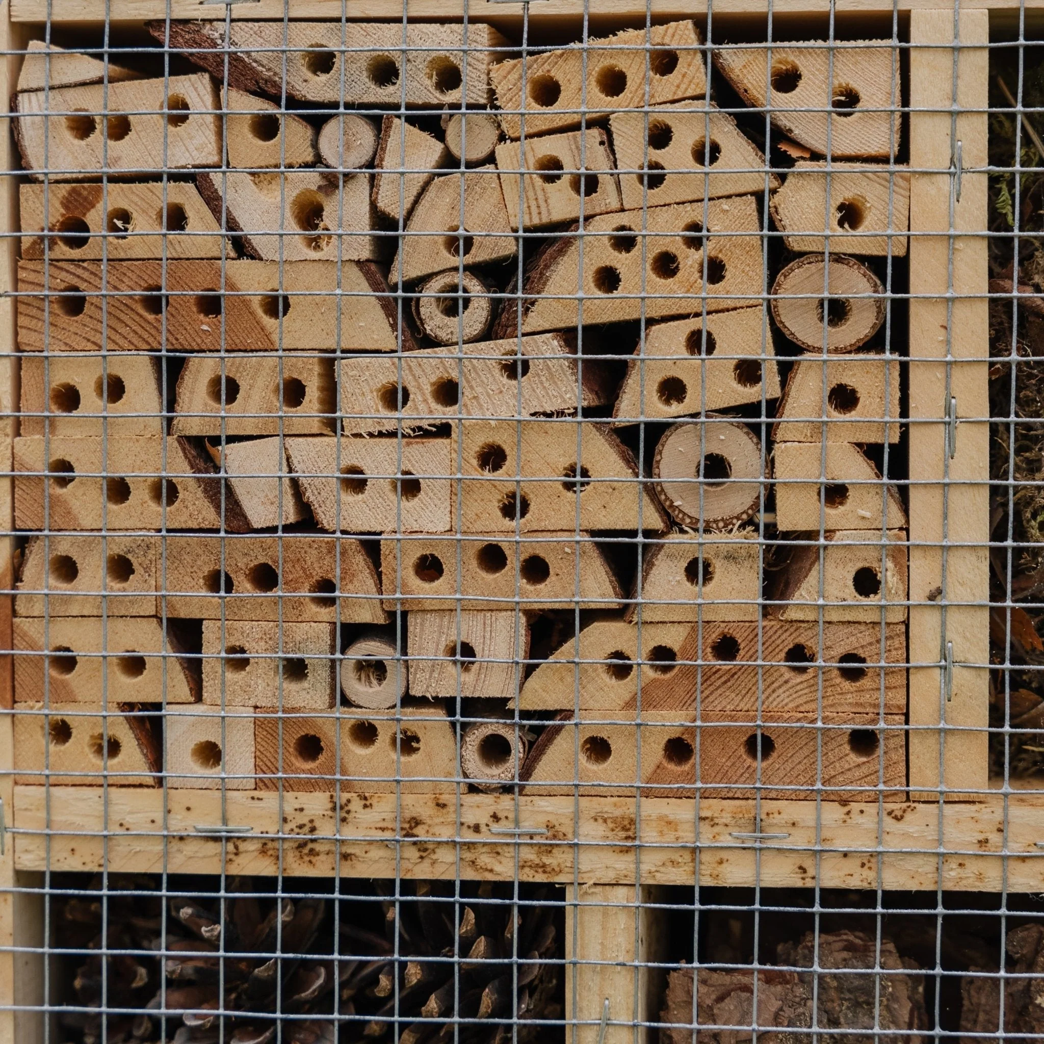 Miniatyrbild 2